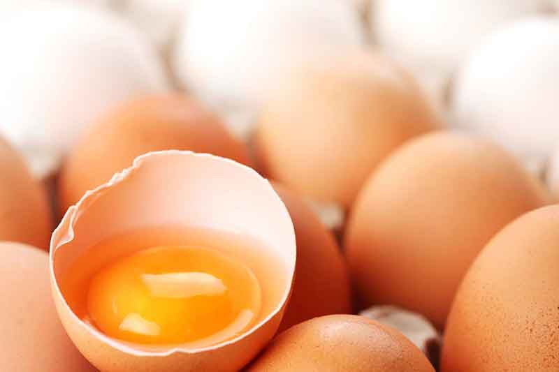 аллергия на яйца