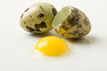 Непереносимость перепелиных яиц
